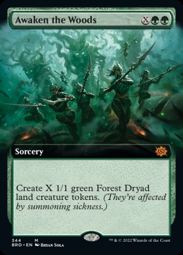 Awaken the Woods The Brothers' War Bordless